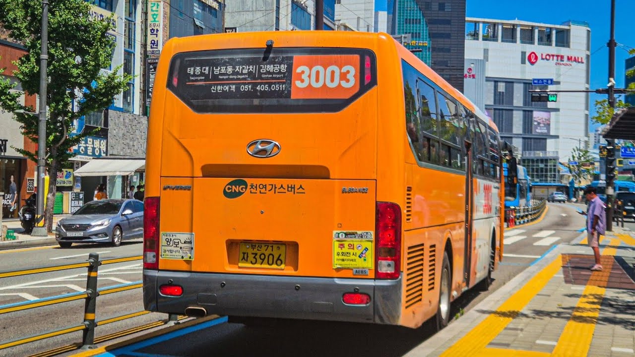 부산 3003번 3906호(국내선 ~ 새벽시장)주행영상