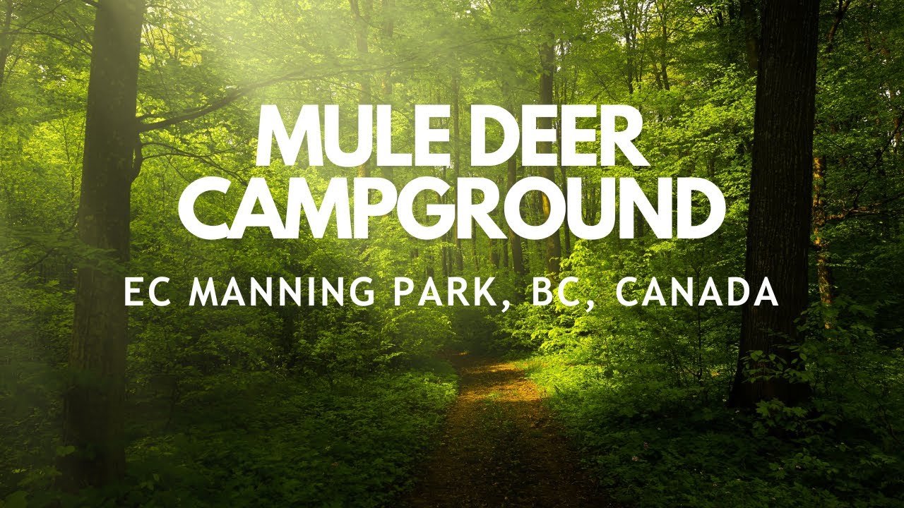 Mule Deer Campground 🏕️ | E.C. Manning Park 🏞️ | British Columbia, Canada | 4K