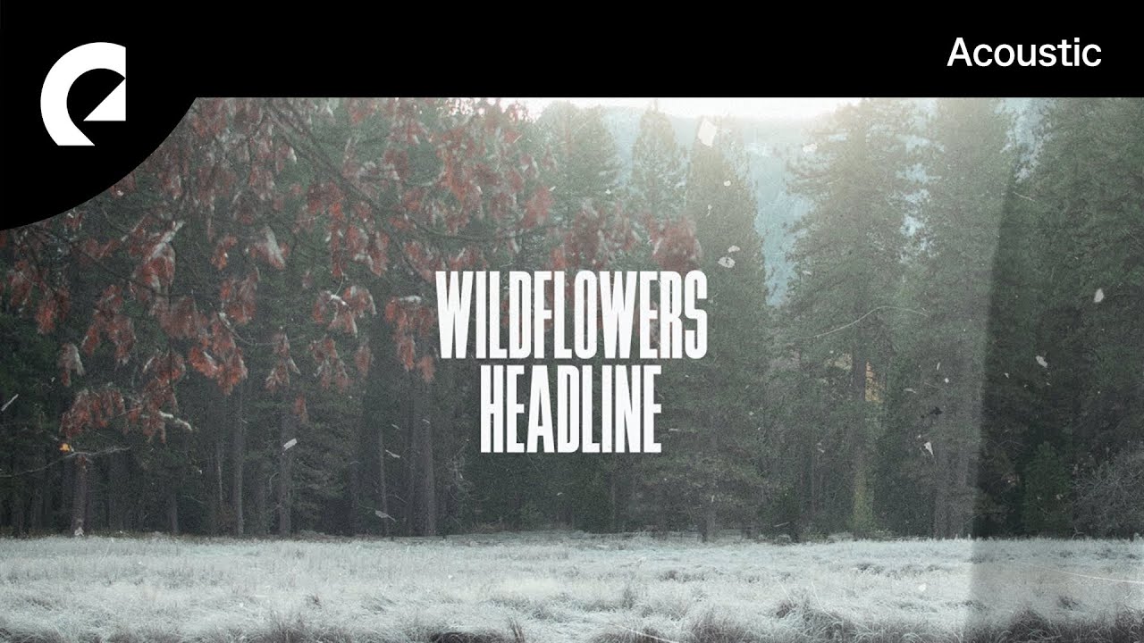 Wildflowers feat. Cara Dee - All Those Things We Did Back Then
