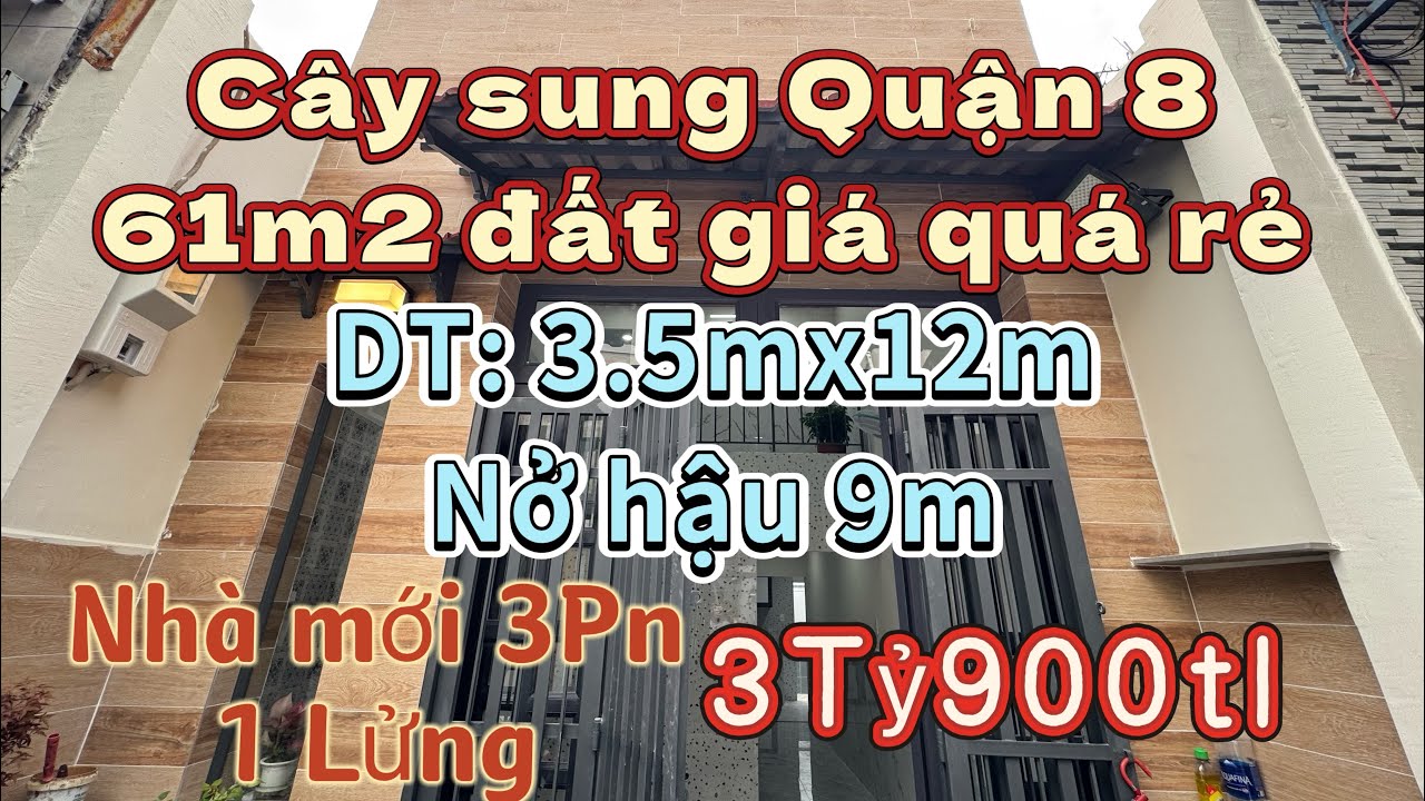 💥Đường Cây Sung Q.8 gần chợ Bình Đông nhà mới 3PN 3vs diện tích rộng 61m2 đất #0908590276 