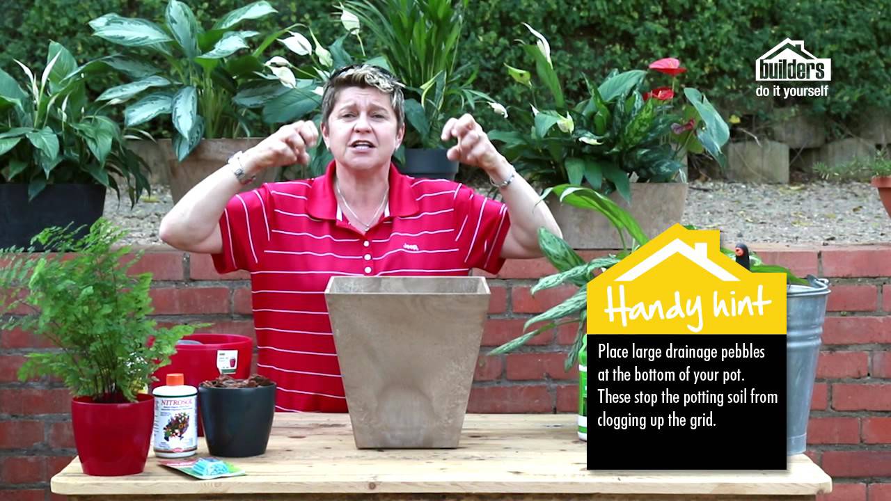 Builders: Indoor Plants