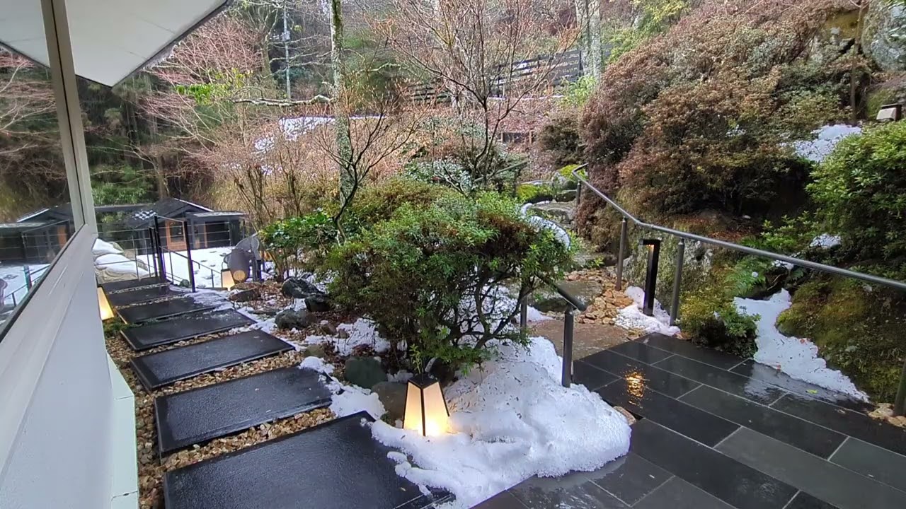 箱根　旅館　蔵樹　箱根神社の神域　通勤中に聞くだけで1日が幸せに満ちる　2026/02/11　箱根蔵樹から風景と自然のBGM