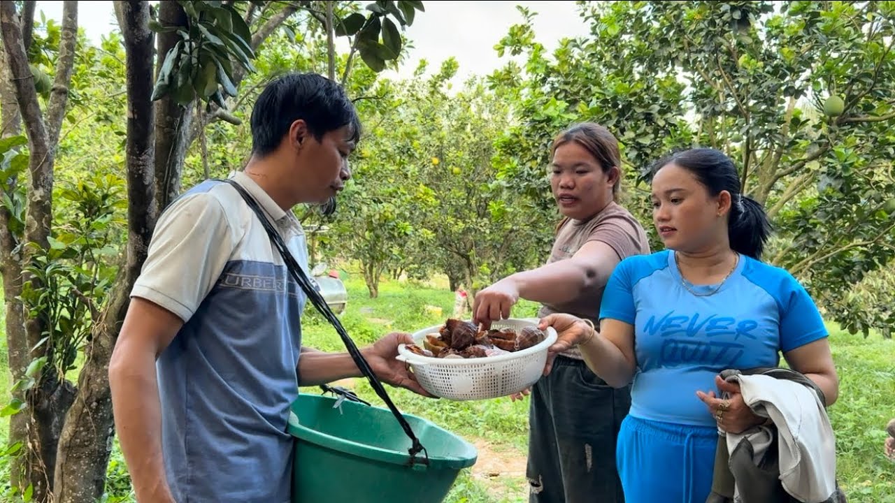 BA MẸ VỢ MUA RẤT NHIỀU ĐỒ ĐỂ LÊN RẪY TỔ CHỨC