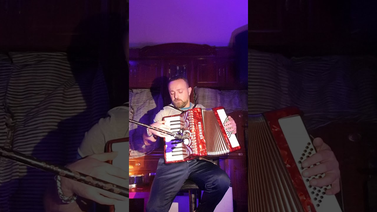 David y su Acordeón