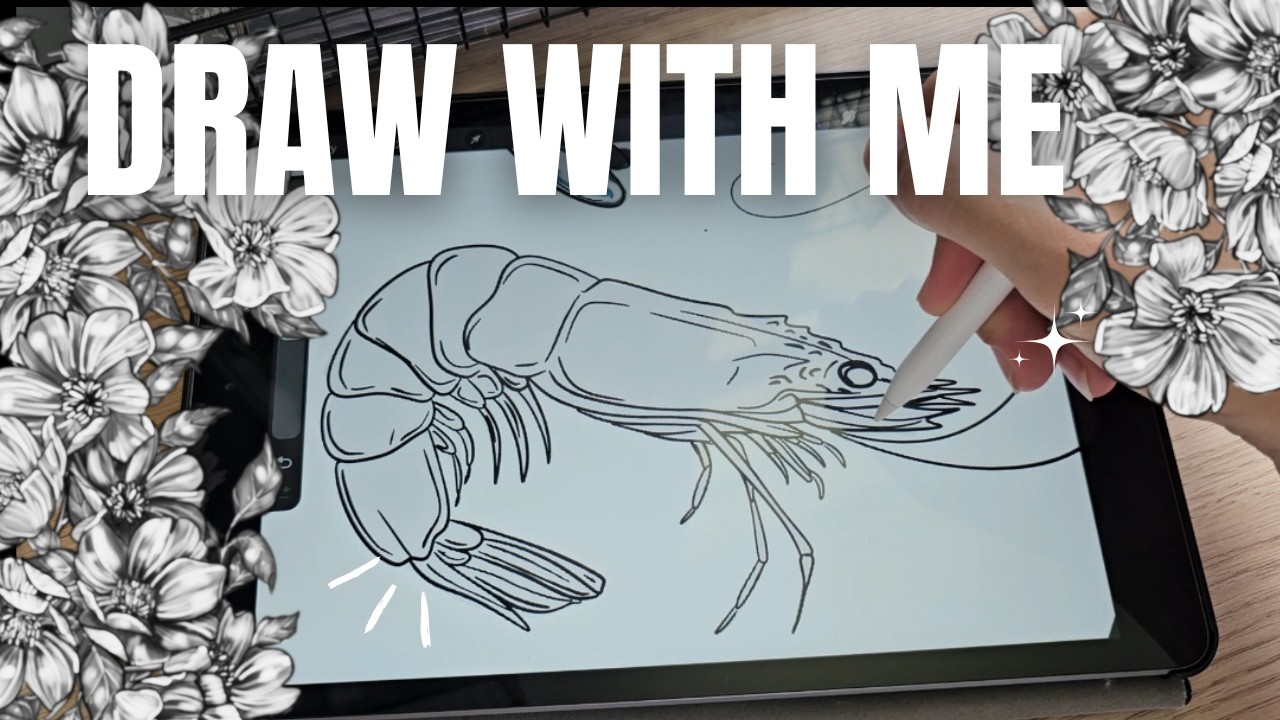 Draw With Me | Shrimp Illustration Process | Relaxing Art