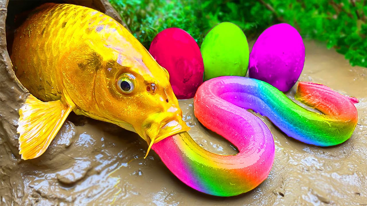 Memancing Ikan Koi Warna-warni, Ular kuning, Kura-kura kecil, Telur Ikan Pelangi