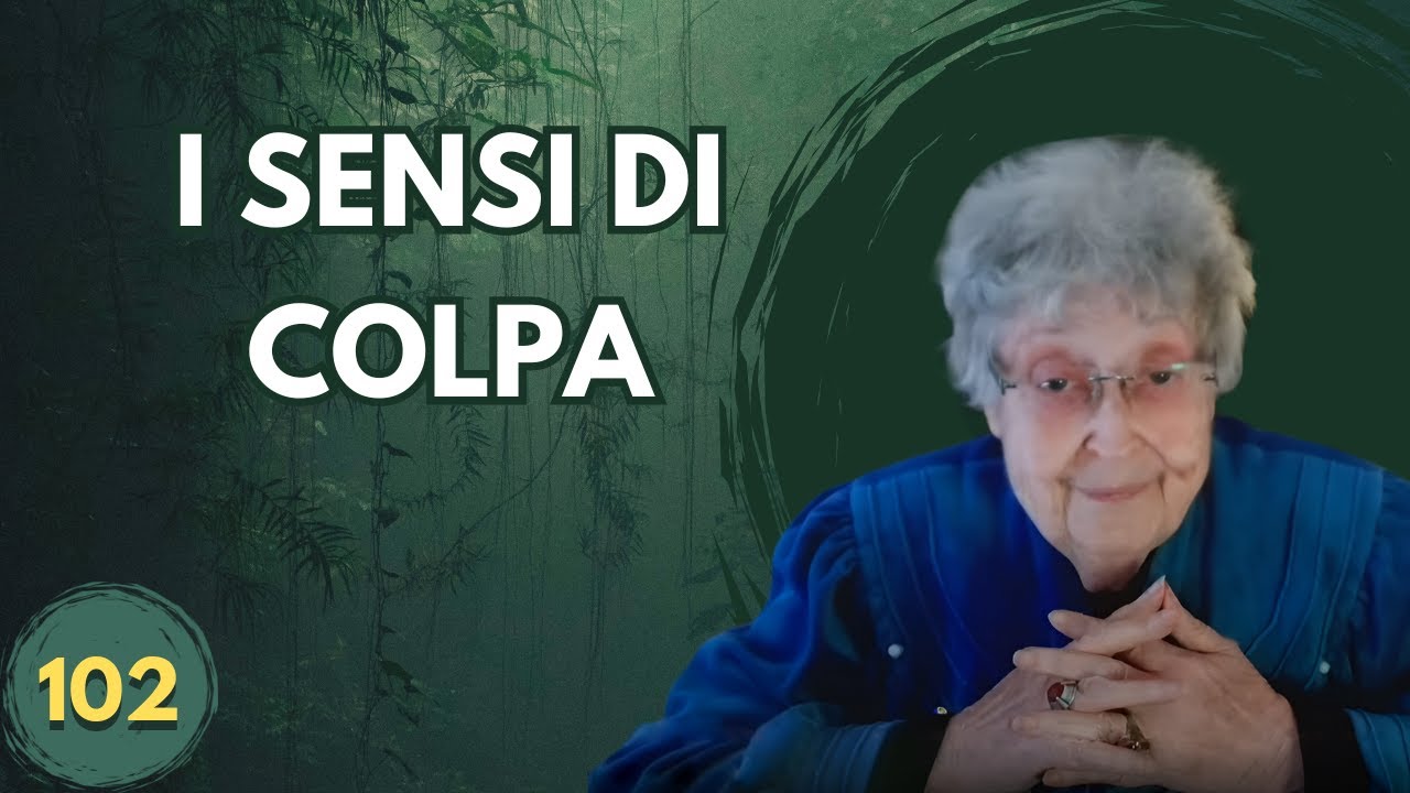 I SENSI DI COLPA (102)