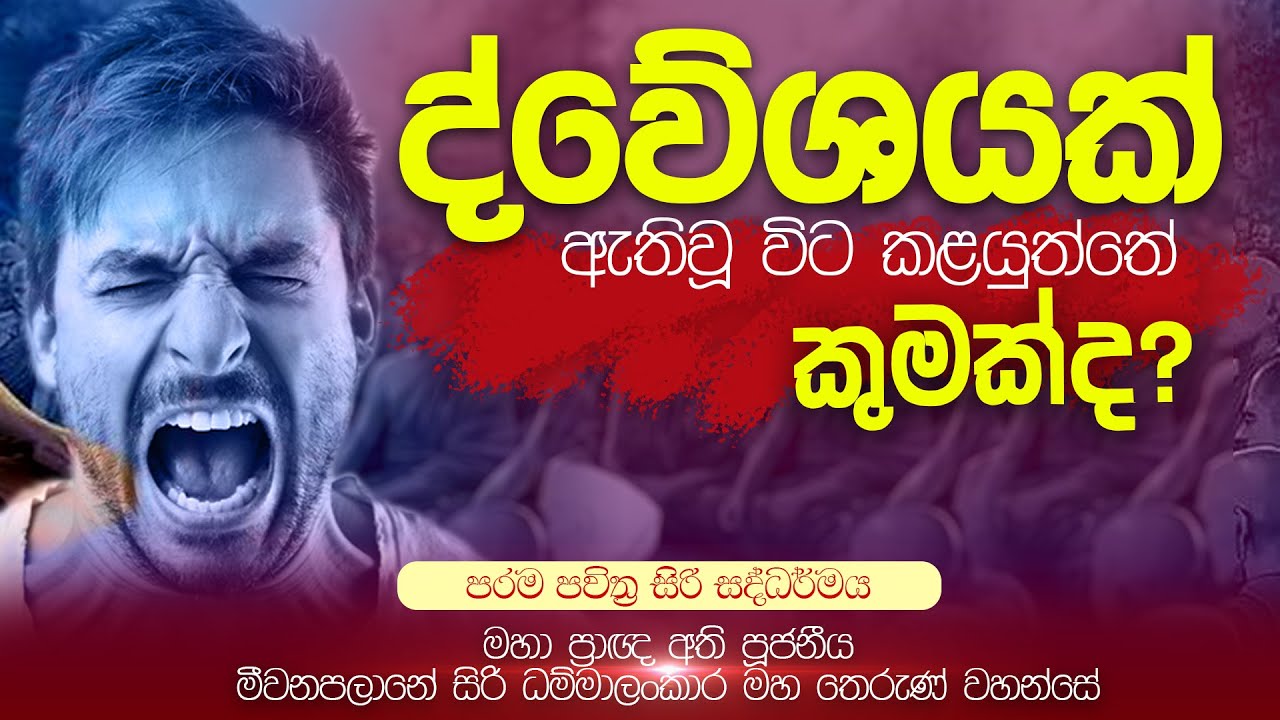 ද්වේශයක් ඇතිවූ විට කල යුත්තේ කුමක්ද? | අති පූජනීය සිරිධම්මාලංකාර මහ තෙරුන් වහන්සේ | Damtharana