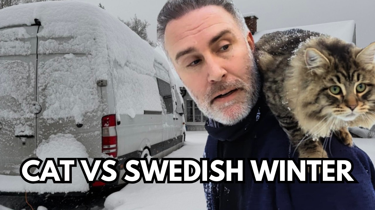 We got STUCK in a SNOWDRIFT in SWEDEN! Van Life with a Cat