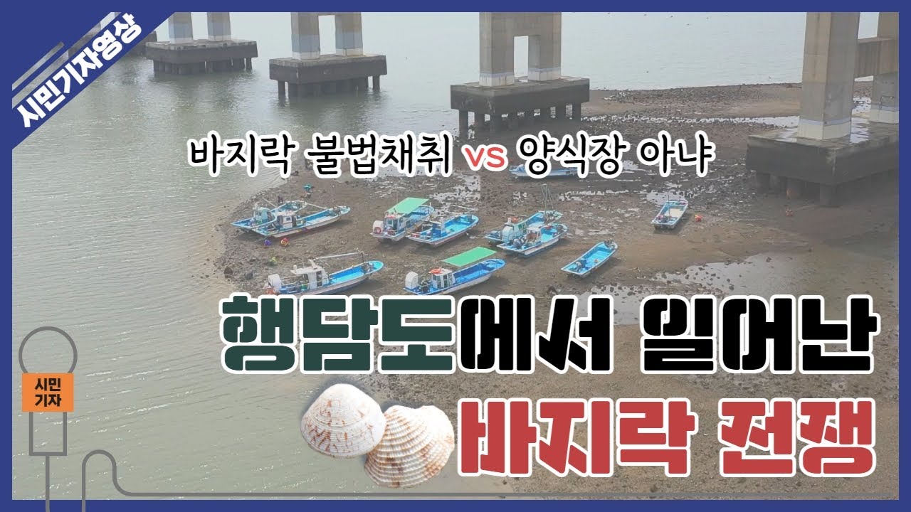 행담도에서 일어난 시끌시끌 바지락 전쟁
