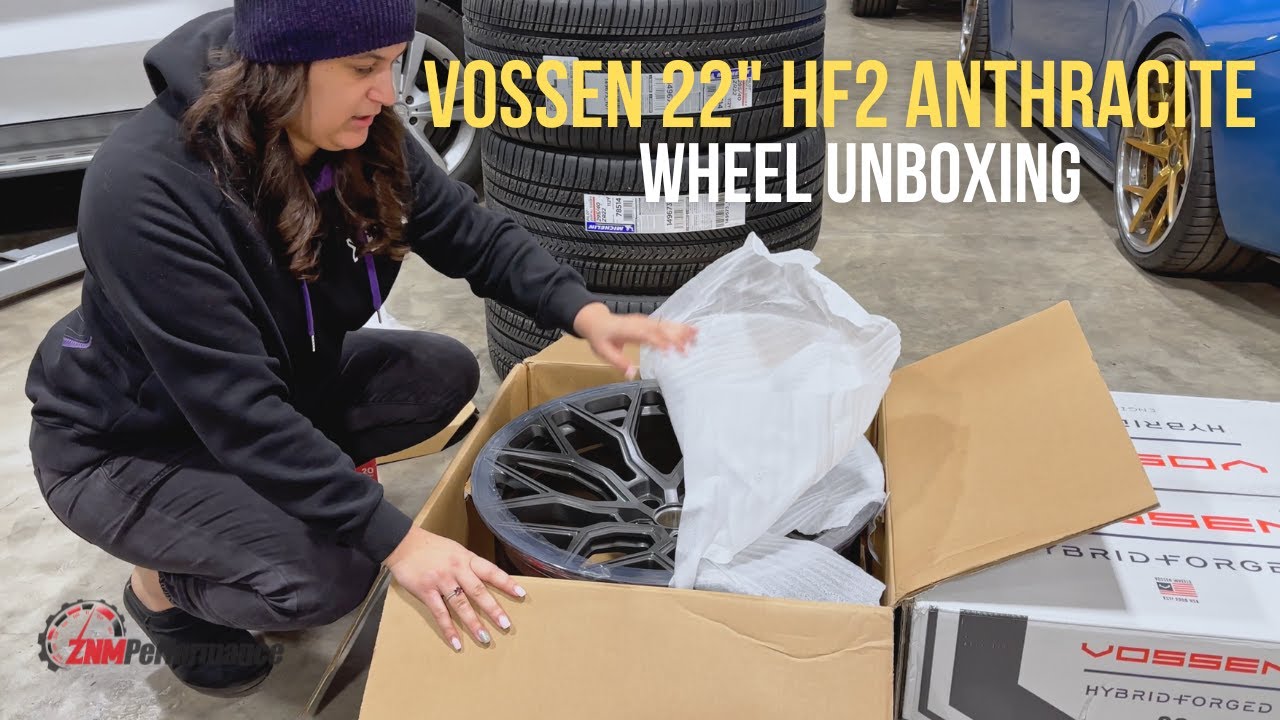 Vossen 22
