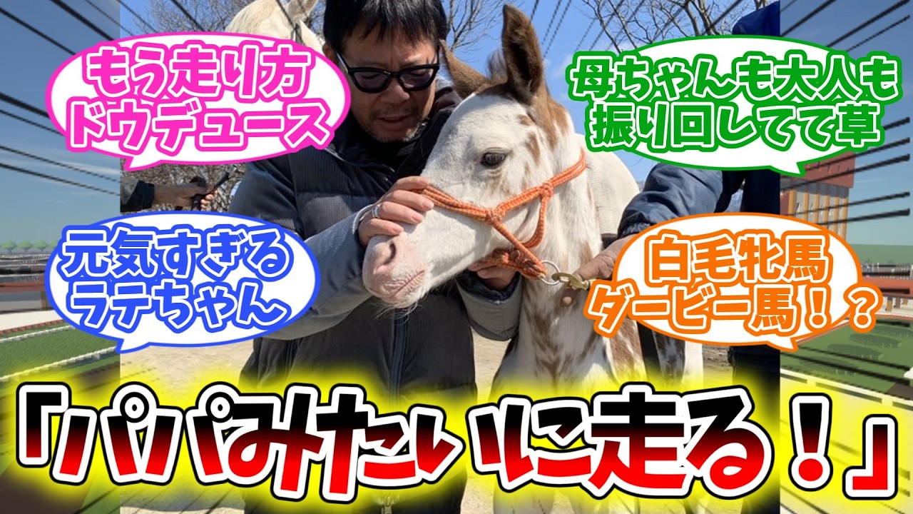 【ドウデュース娘】ラテちゃん、すでに父そっくりでやんちゃすぎる模様w【競馬】