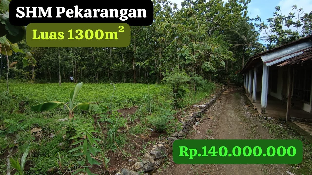 🔴TANAH PEKARANGAN DATAR NEMPEL RUMAH.. #jualtanah #tanahmurahgunungkidul 