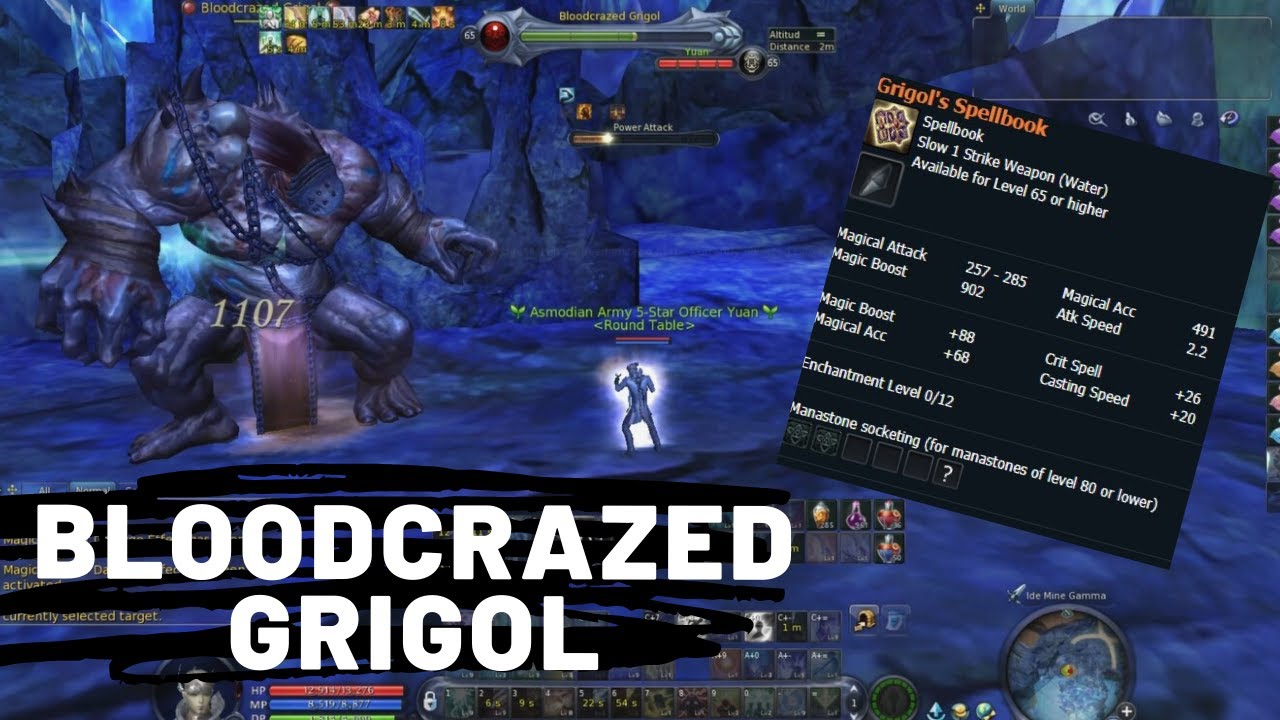 [AionYuan] Bloodcrazed Grigol | Idian Depth Boss Hunt | Asmodian | Aion Asia 4.6 |