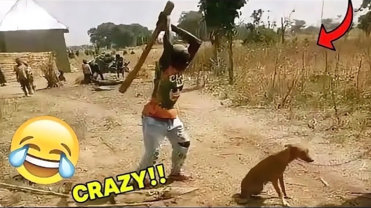Try Not To Laugh Challenge 😂| Funniest Moments 2026 | Crazy Funny Videos Ever In The World | Lev 43