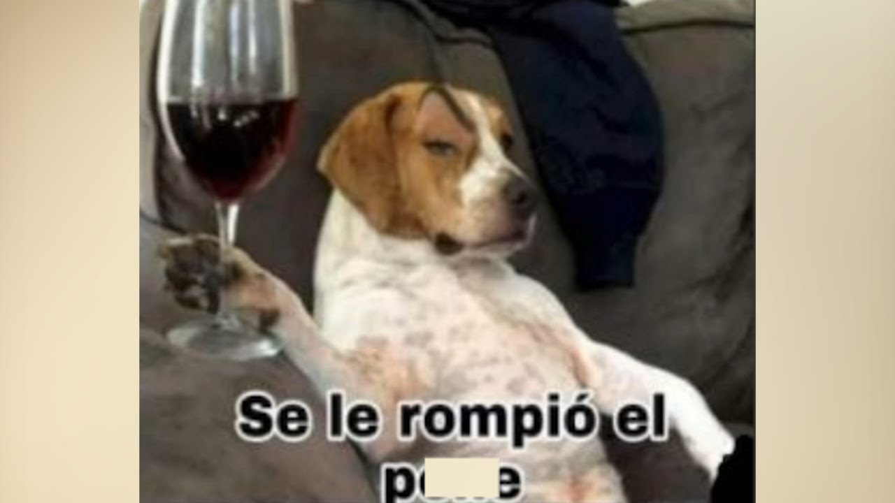 Memes muy xd #128