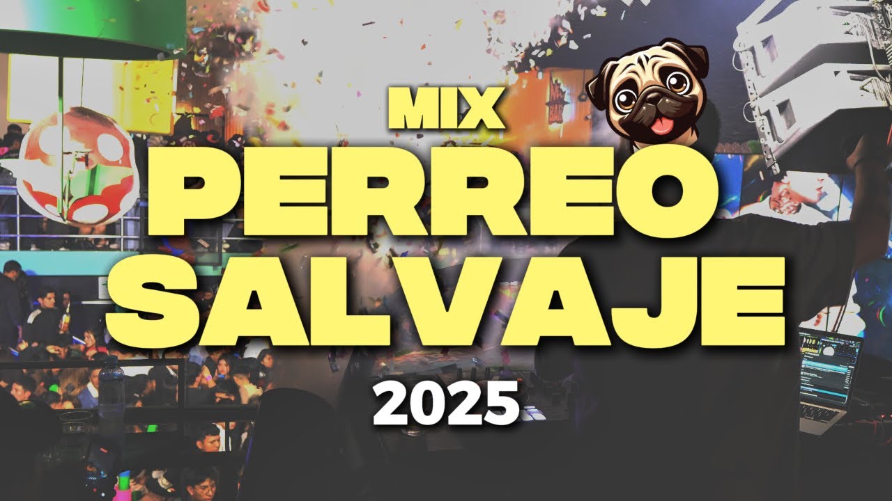 MIX PERREO SALVAJE 2025🔥(Mix Reggaeton Antiguo) Choca, Daddy Yankee, Plan B y otros - @djraulito