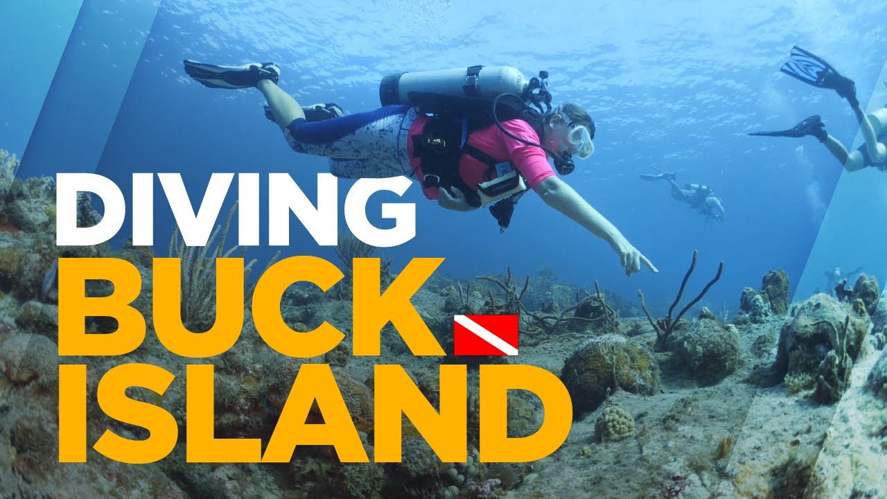 Scuba Diving Buck Island (St. Thomas - US Virgin Islands)