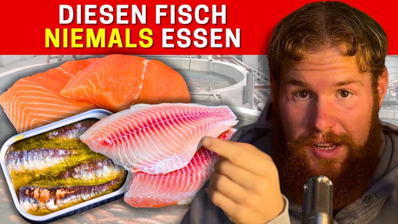 Top 3 BESTE & SCHLECHTESTE FISCHE (Wei&szlig; Niemand)