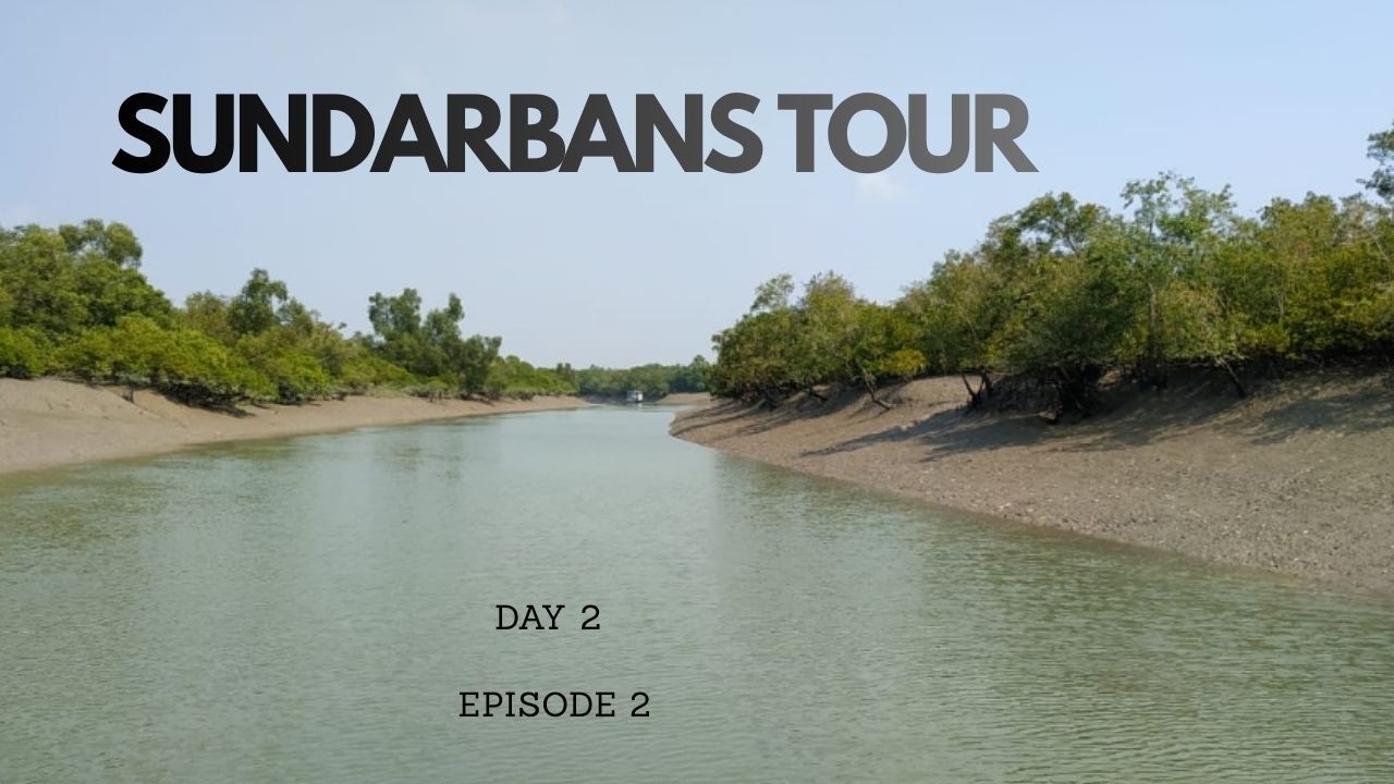 শীতকালে সুন্দরবন ভ্রমণ || Kolkata To Sundarbans Tour 2026|| Ep -2
