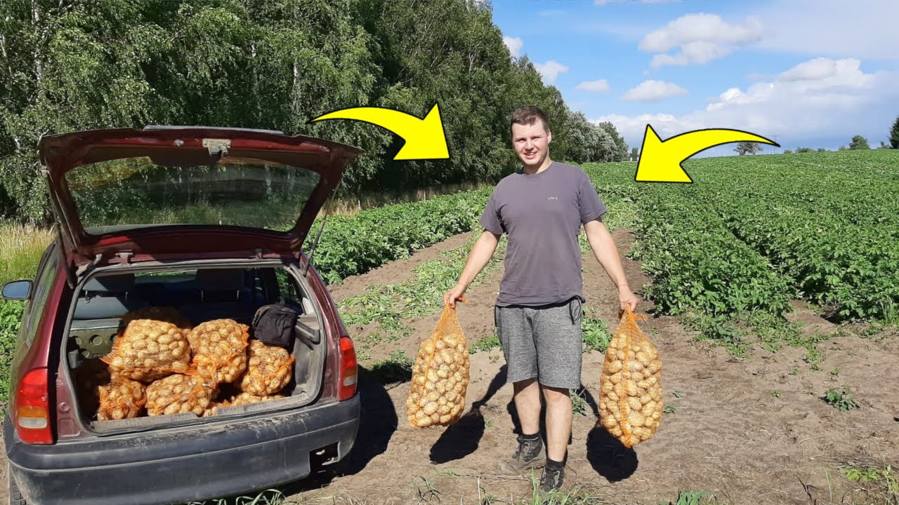 Burza Zgoniła Nas z Pola ☆Kopanie Ziemniaków 2020 ☆Corsa Załadowana Do Pełna!