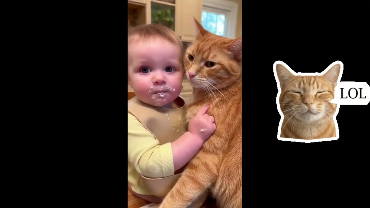 Cat.exe Has Stopped Working.