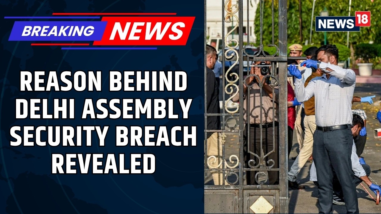 Delhi Assembly Security Breach: Accused Did To Draw Attention Towards Missing Nephew Case | News18