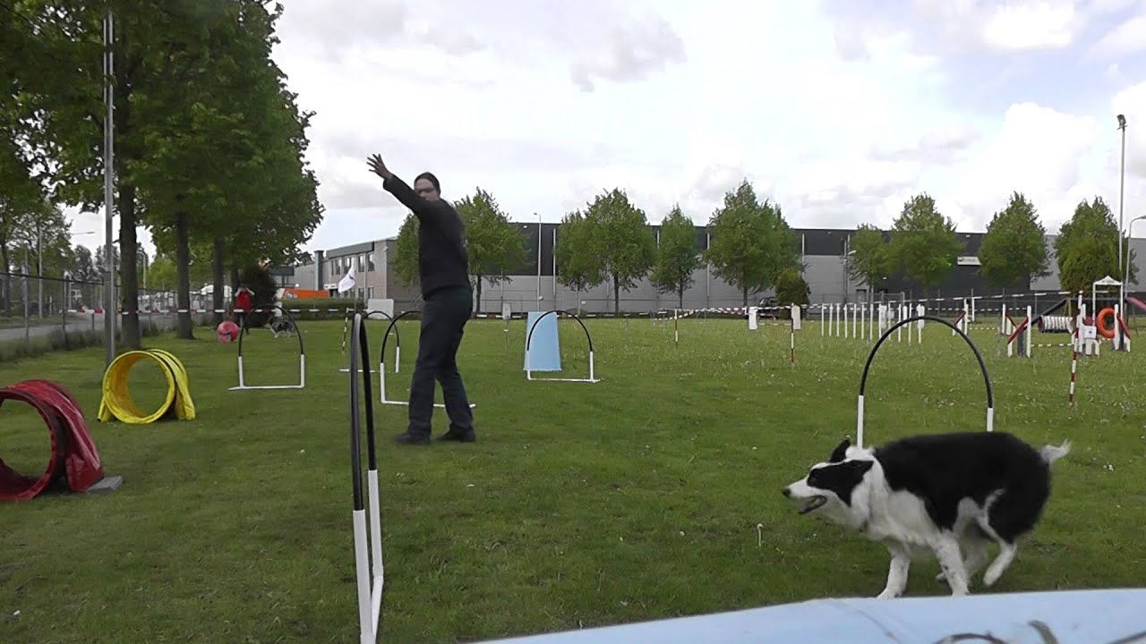 Demo hoopers dag van de hond KC Sneek