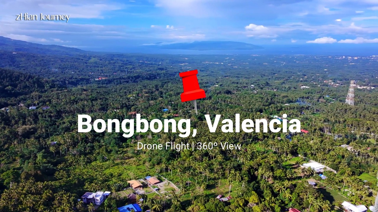 Drone Flight | 360º View with Mt. Talinis | Bongbong, Valencia, Negros Oriental
