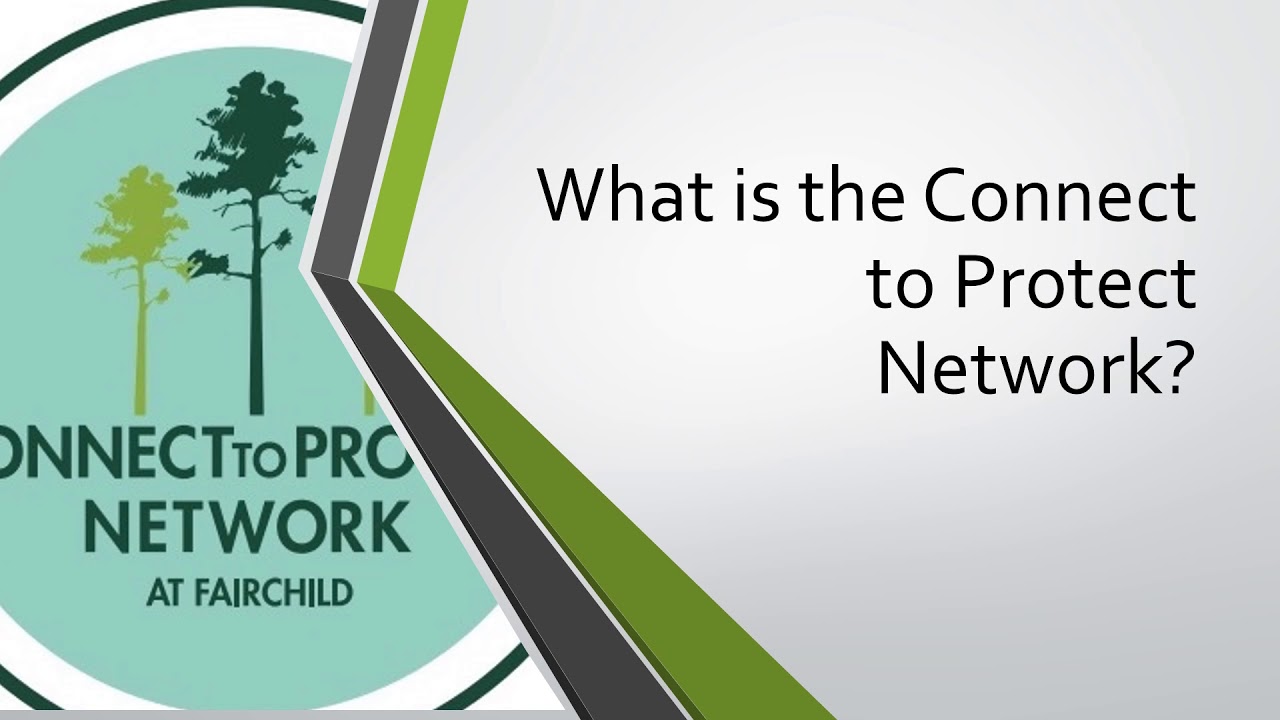 Pine Rocklands And The Connect To Protect Network
