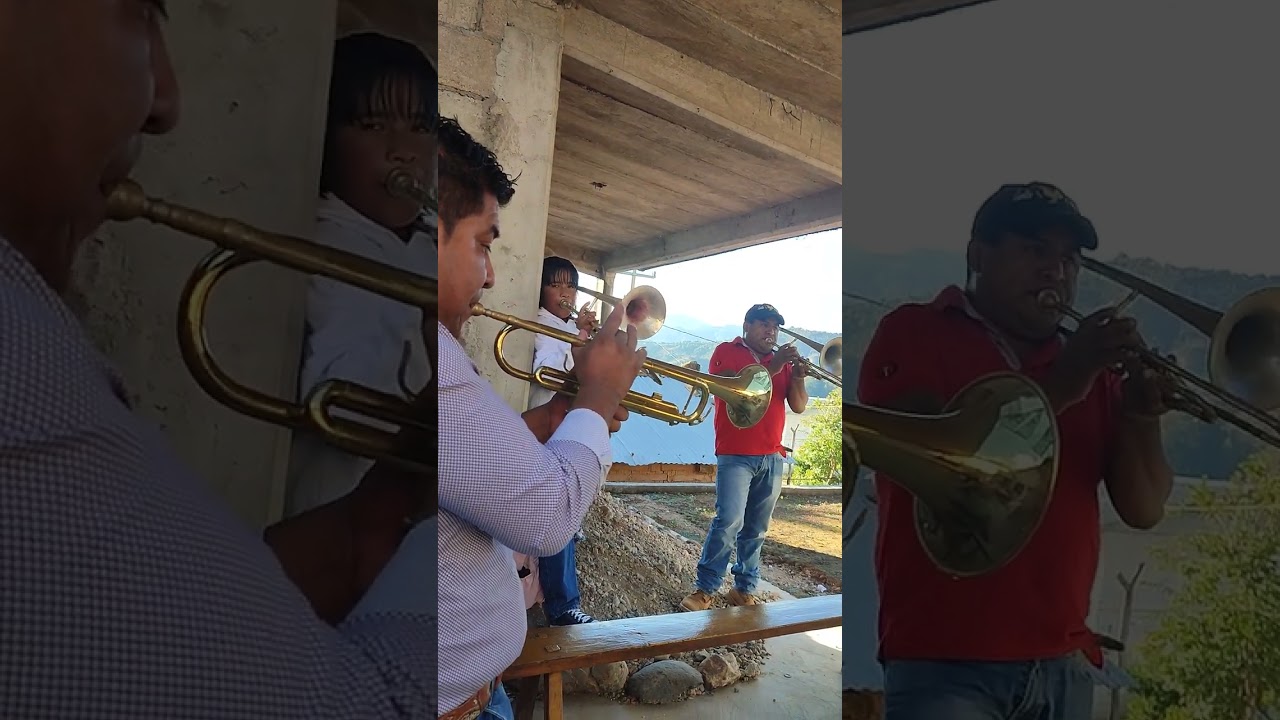 pieza fúnebre de banda z