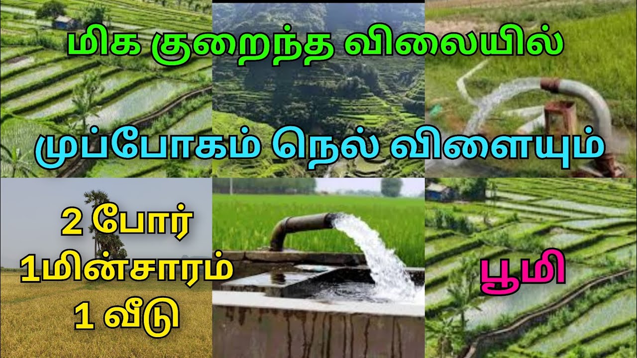 9600525601 முப்போகம் நெல் விளையும் பூமி மிக குறைந்த விலையில் விற்பனைக்கு உள்ளது