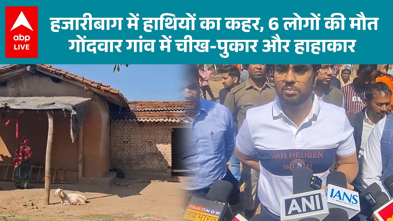 Jharkhand News: हाथियों के आतंक से कांपा हजारीबाग...गोंदवार गांव में मचा हाहाकार! |ABPLIVE