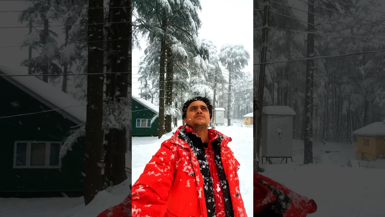 Snowfall in Patnitop ❄️☃️ , Feb 2024 #snowfall #patnitop #jammu