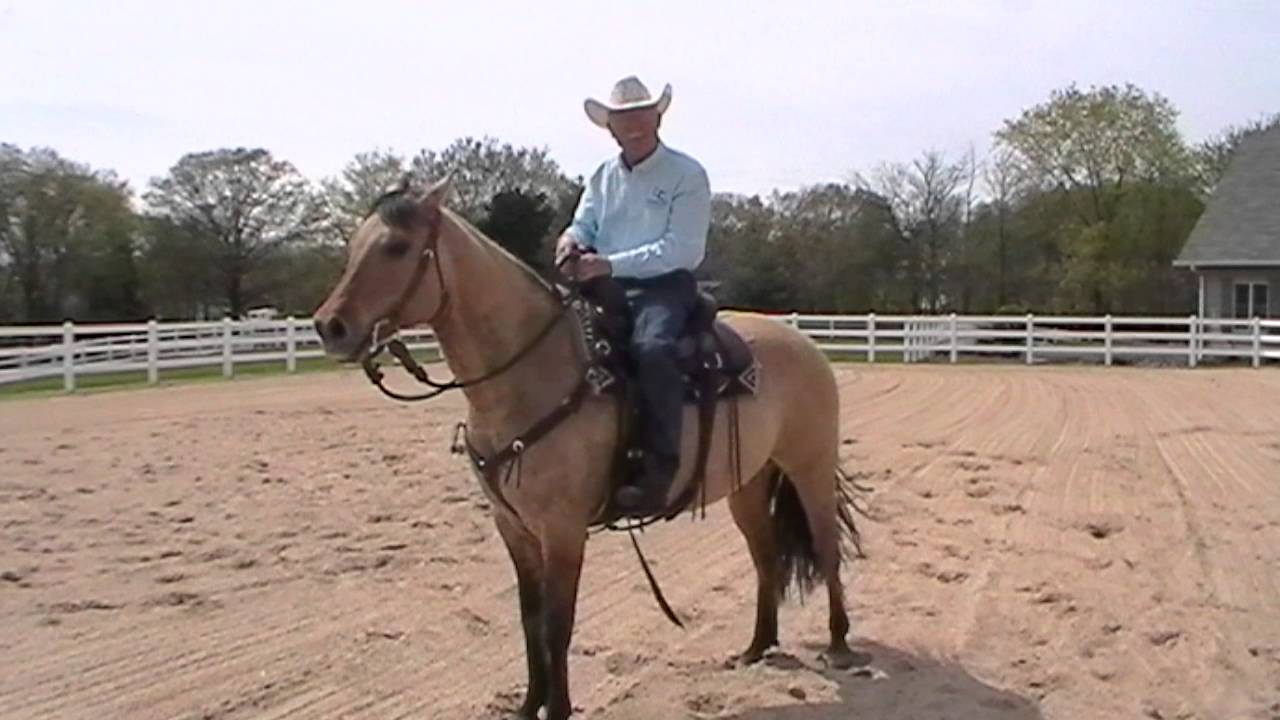 Dennis Cappel: What is engagement of the hind end in a horse?