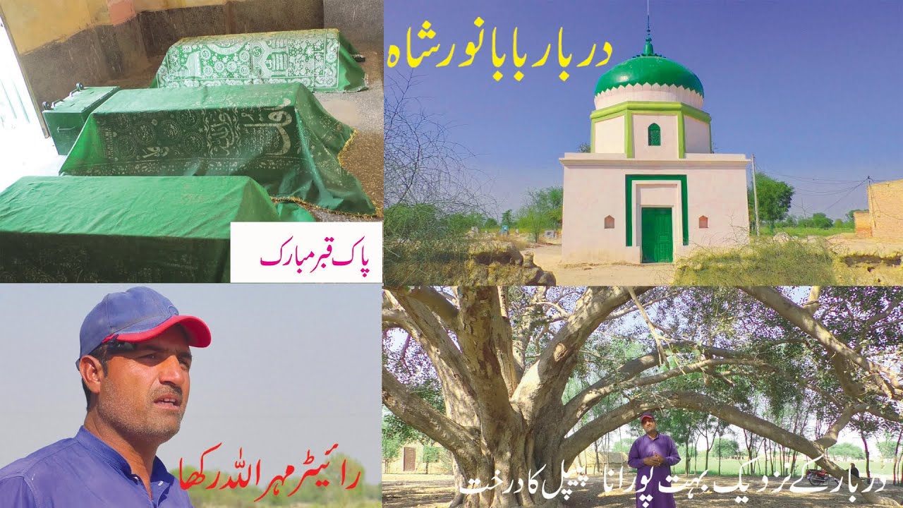 #treding Darbar baba noor shah