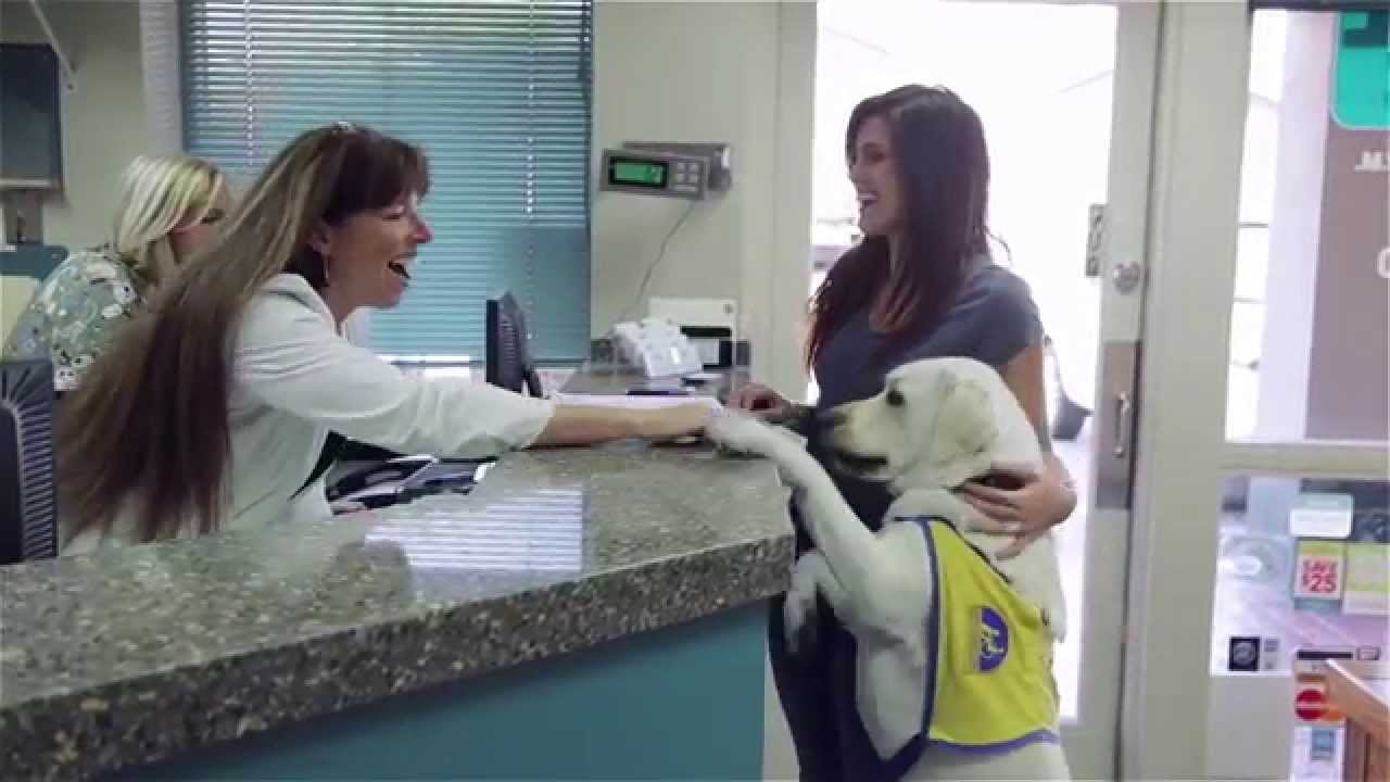 Welcome to Lake Forest Animal Clinic