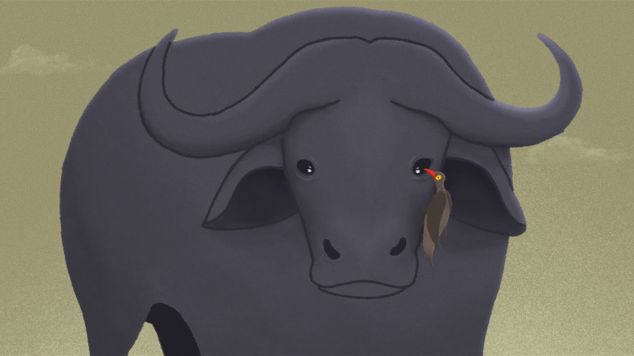 The Ox & the Bird | Animated Short Film | CalArts 2024
