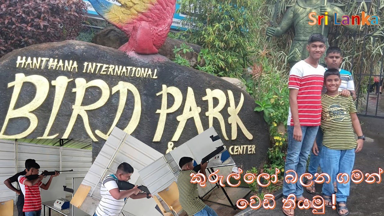 කුරුල්ලෝ බලමු | වෙඩි තියමු | හන්තාන කුරුළු උද්‍යානය | Bird Park Hanthana