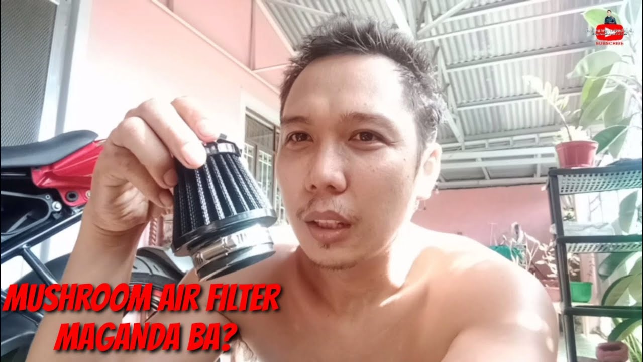 Mushroom Air Filter Simple HACK
