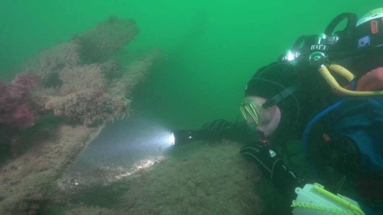 Darwin200 Ep 9: Diving the South West of the UK (the Darwin200 team explores British marine life)