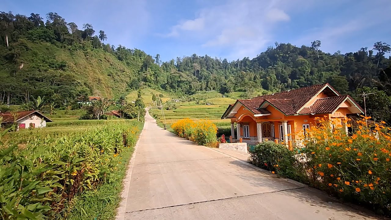 Hidup di desa, Suasana yang begitu indah saat pagi hari menyapa, botram di saung sawah paling nikmat