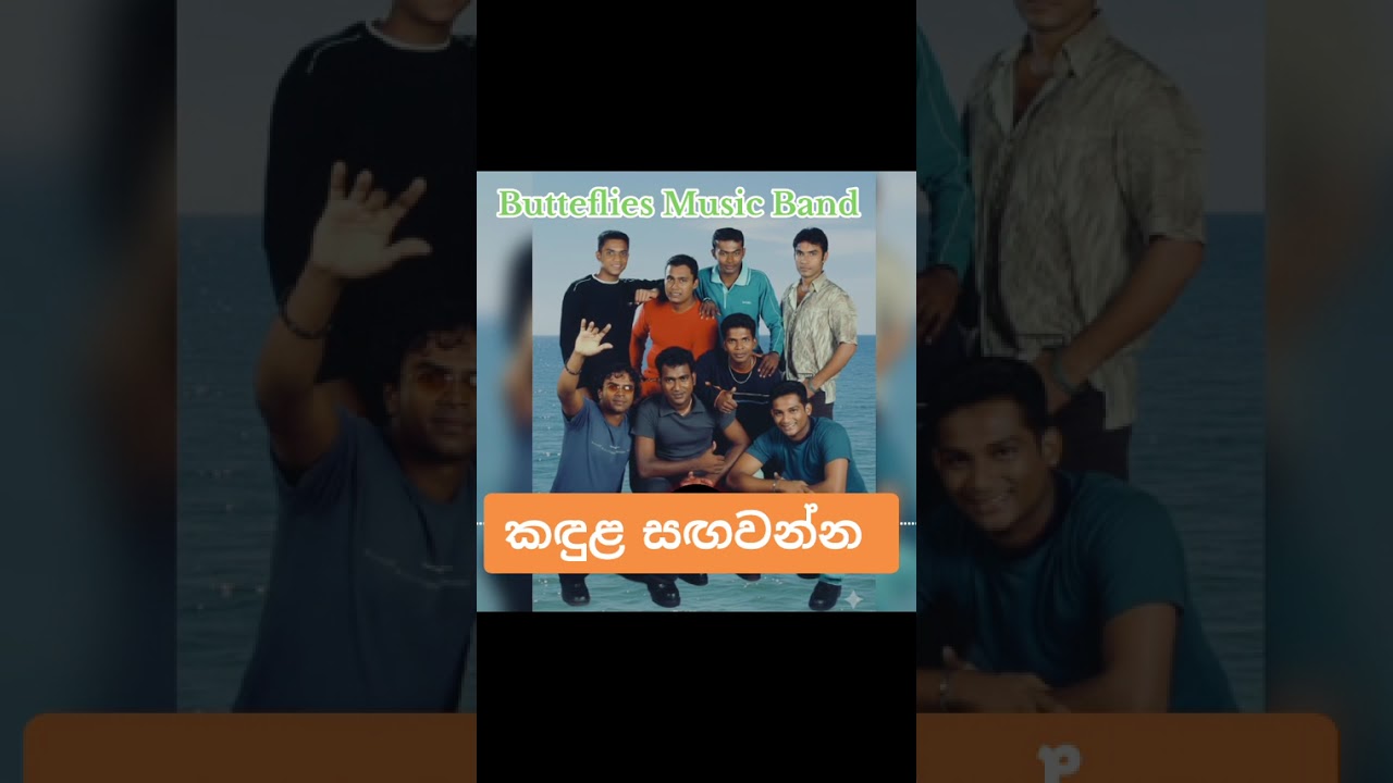 Kandula sangawanna butteflies music band song #viral #trending 
