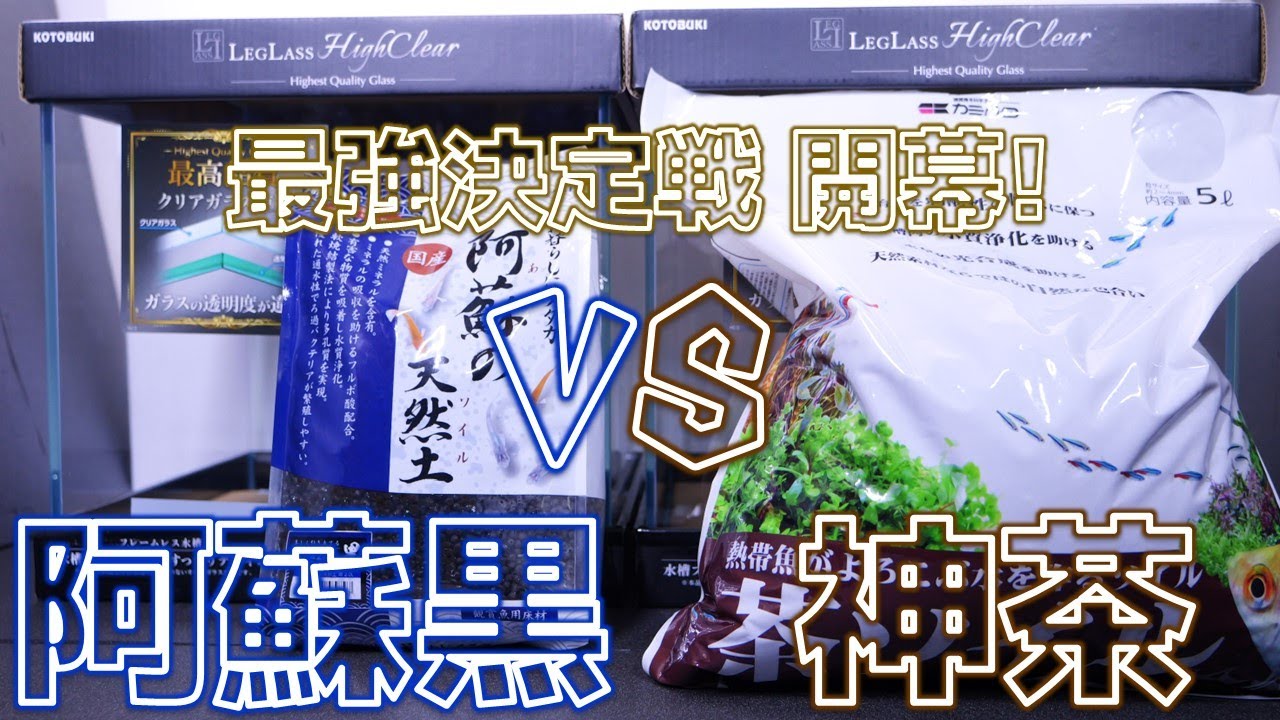 【夏限定】最強は2つもいらねえ…神はどっちだ!?初めて30cmキューブ水槽を買ってソイルを入れてみた！【ふぶきテトラ】
