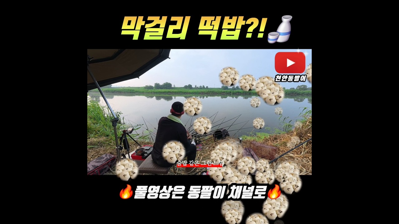 비올땐 막걸리 떡밥?!#슬로우찌#국제아르스#음봉막걸리#붕어낚시#글루텐#대물낚시#동팔이#문기어