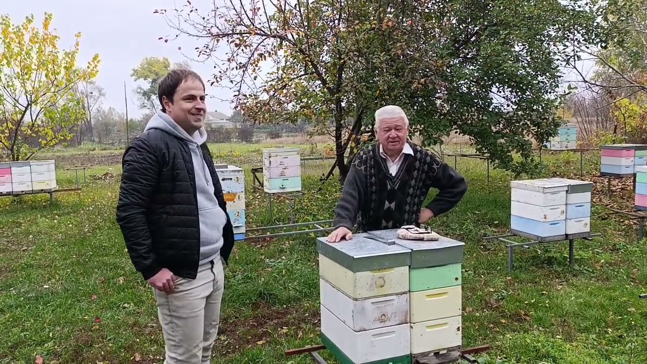Итоги сезона 2025. Медопродуктивность семей и матководство.