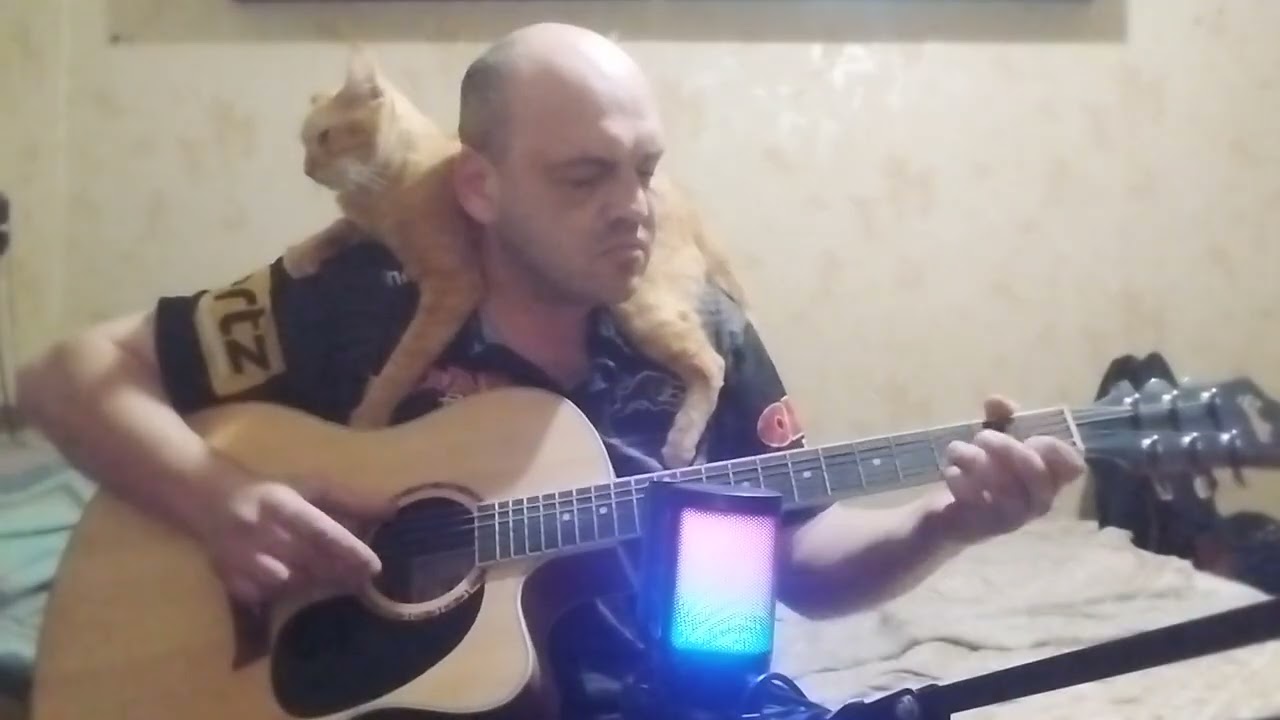 Сектор газа твой звонок на гитаре 