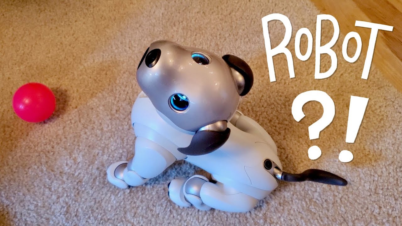 Наша новая собака, AIBO: робот, заменяющий домашнего питомца?!