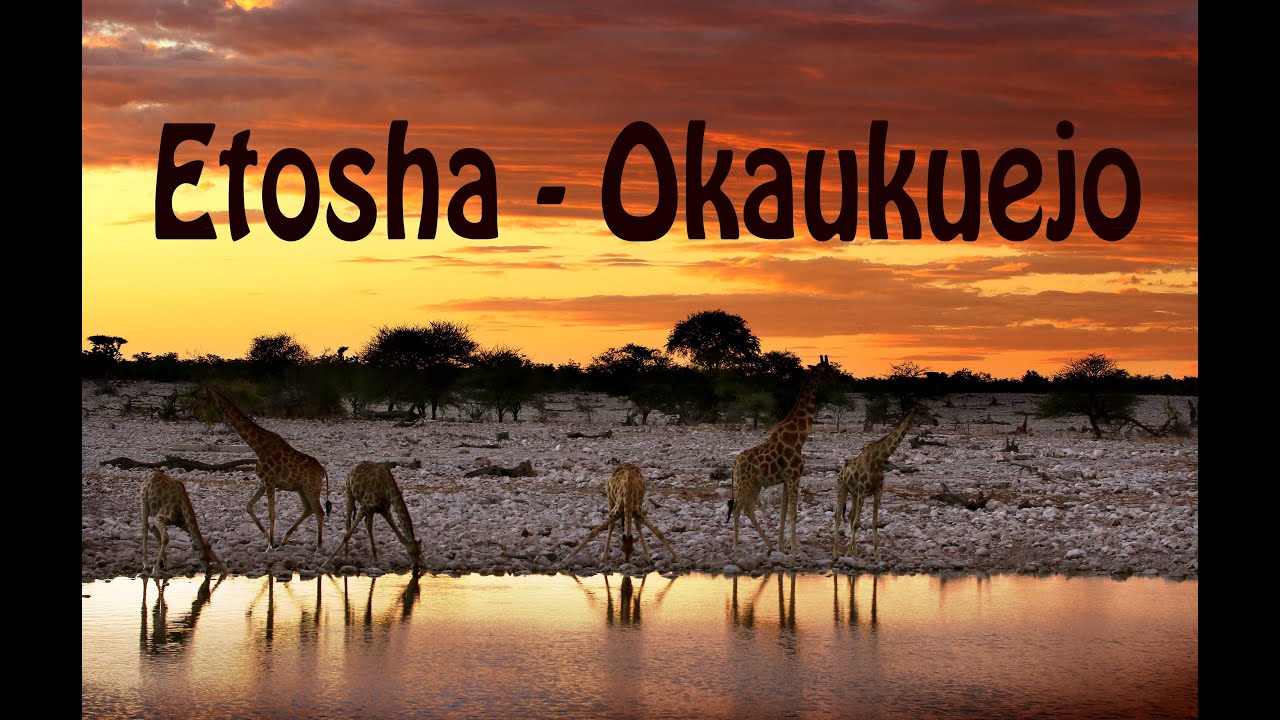 December 2021 Botswana and Namibia part 7, Etosha,  Okaukuejo.
