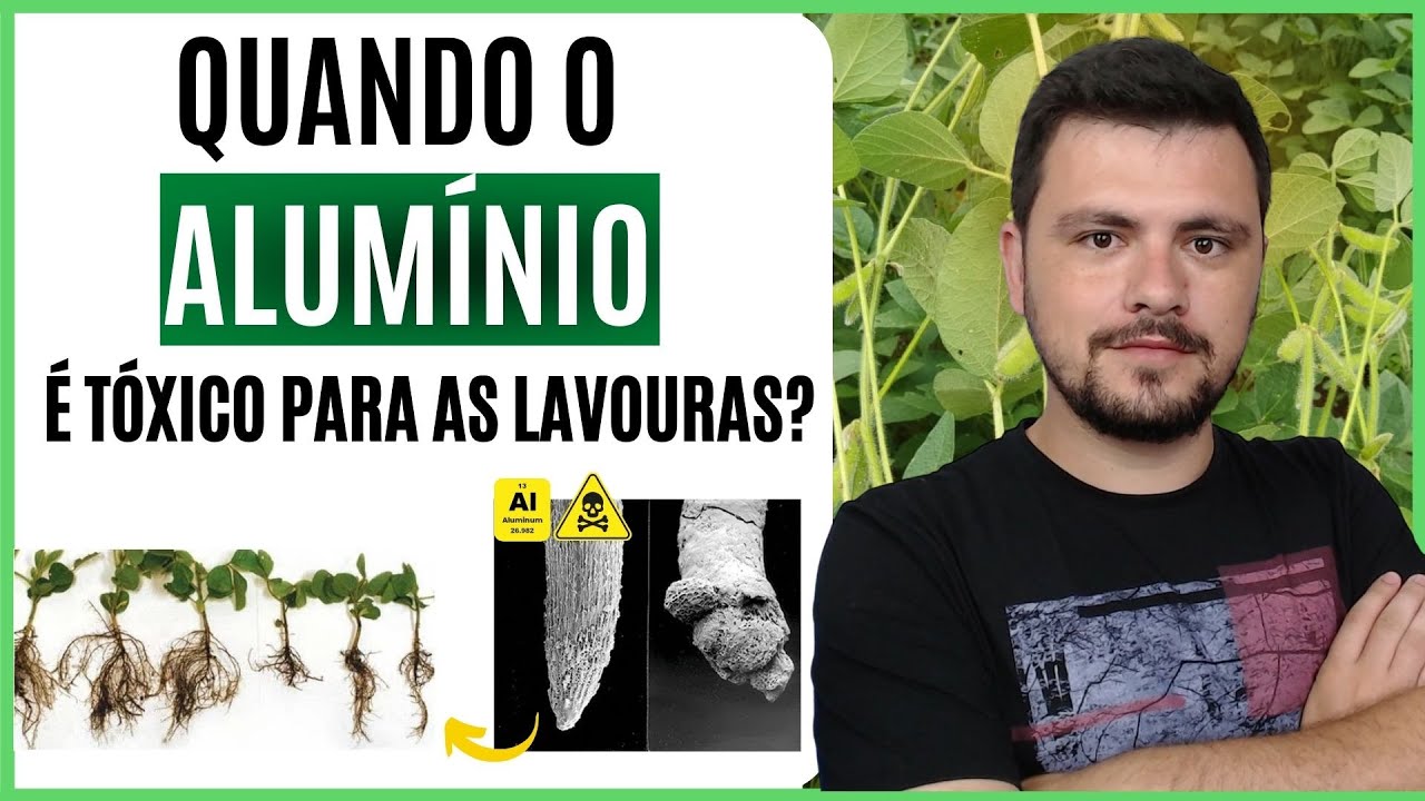 Quando o ALUMÍNIO limita a produção das lavouras